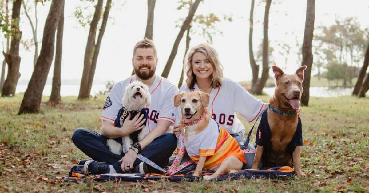 The Best Cars for Families and Pets