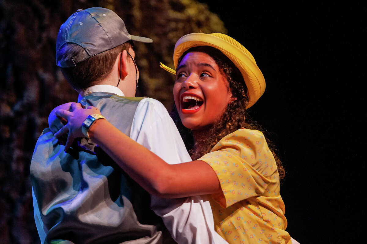 Midland students to put on HONK! at Midland Center for the Arts