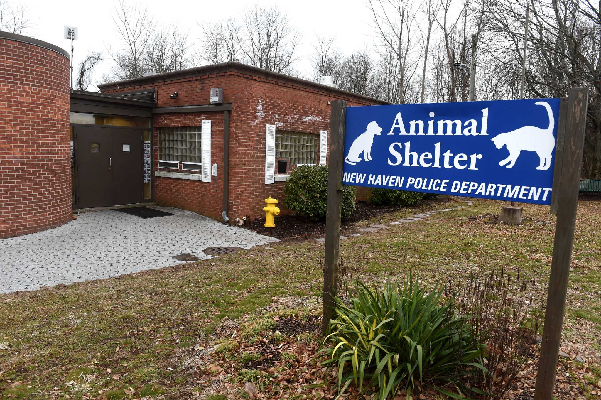 New Haven animal shelter undergoing changes amid investigation