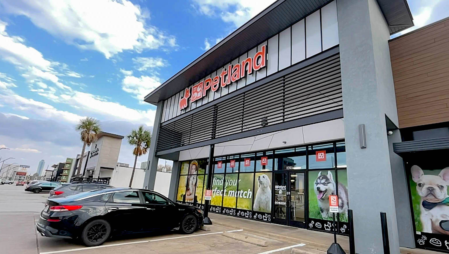 Houston Petland owner faces arrest for violating ban on puppy mills