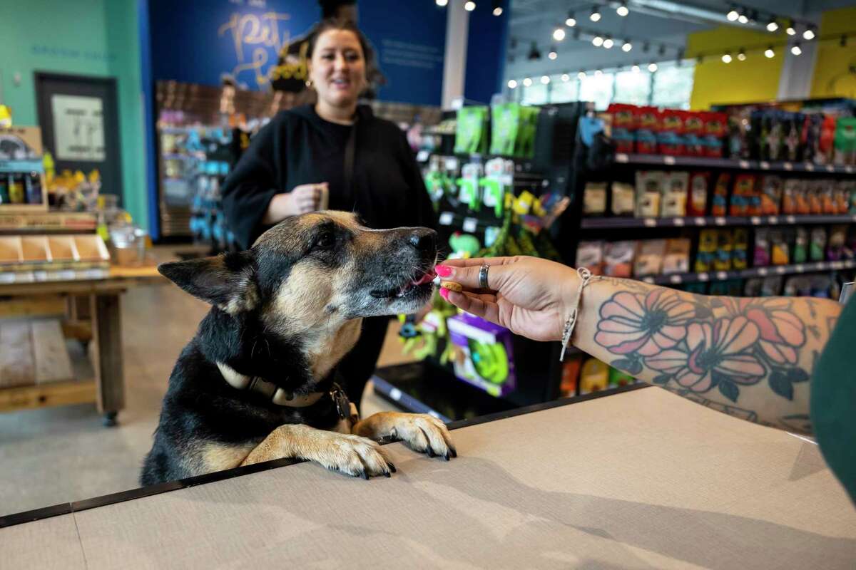 Bailey, 4, gets a treat from an employee at Natural Pawz on Wednesday, Feb. 22, 2023.