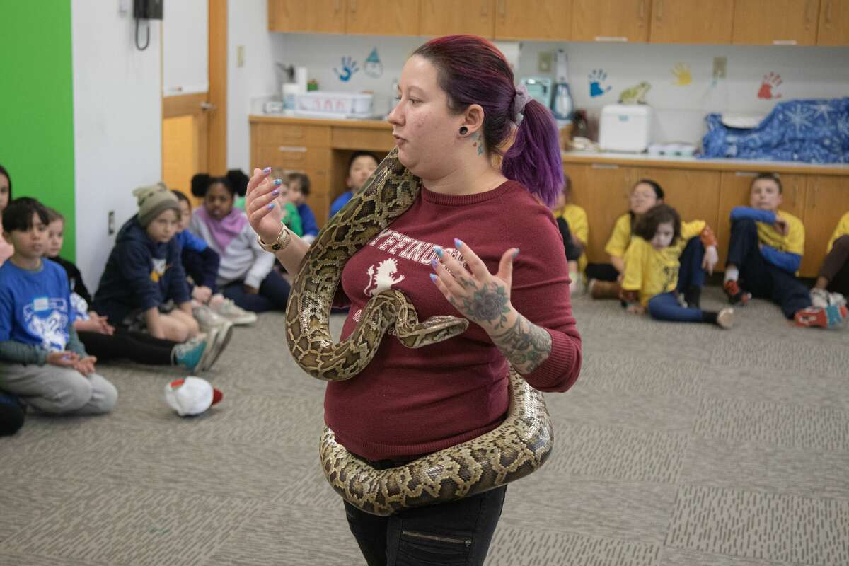 The Wilton Library hosts the return of its Wizard Camp for kids on Wednesday as part of its winter break offerings. The event includes showing off snakes, which are among the magical animals in the 'Harry Potter' books. Casey Blais from the Riverside Reptiles Education Center in Enfield is showing off Jasmine, a Burmese python. 