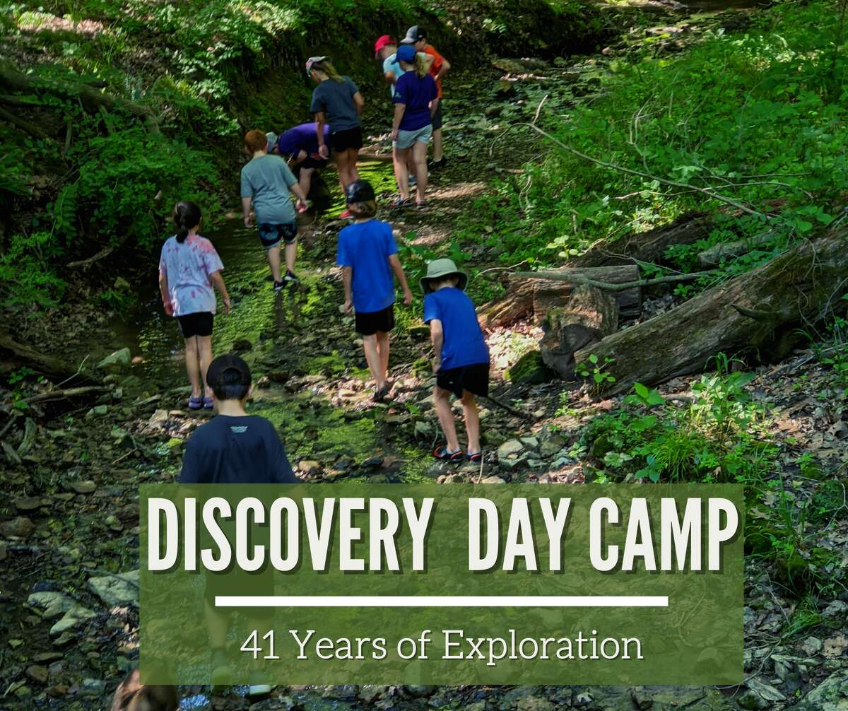 Discovery Day Camp, which started in 1982 with Aune Nelson as its catalyst, offers a premier nature camp experience for children in the riverbend area.