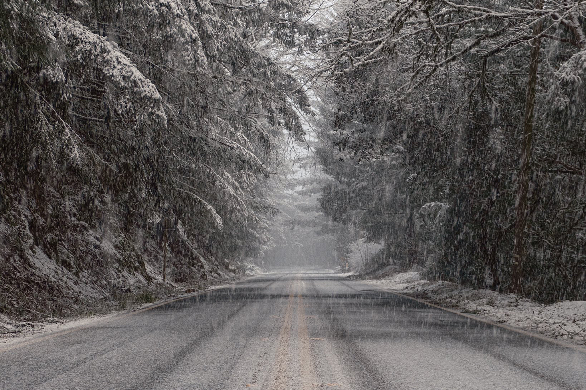 Dangerously cold Snow falls in parts of Bay Area