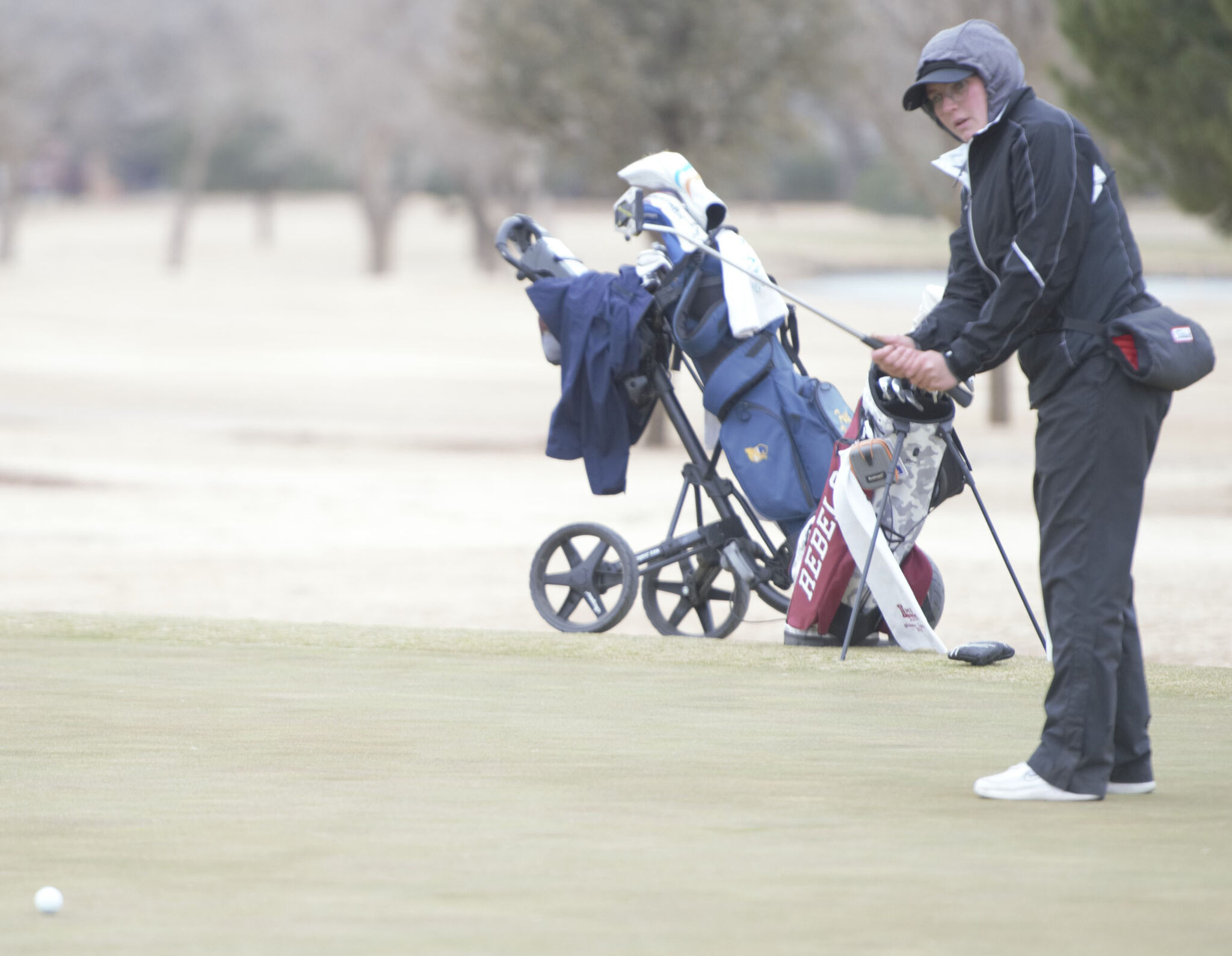 HS GIRLS GOLF: Andrews leads Tall City Invitational; LHS is in fourth