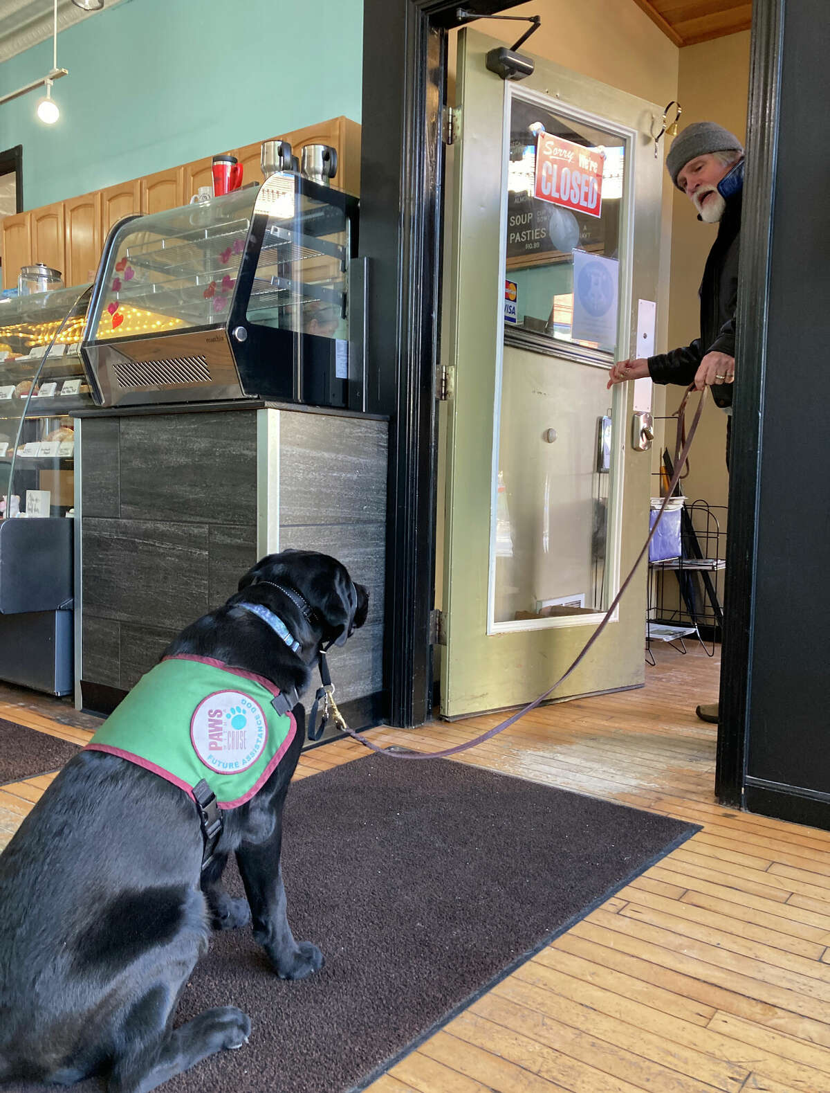 Vina, an assistance dog in training, practices stopping in front of a doorway with Michael Bull at Goody's Juice & Java in Manistee. 