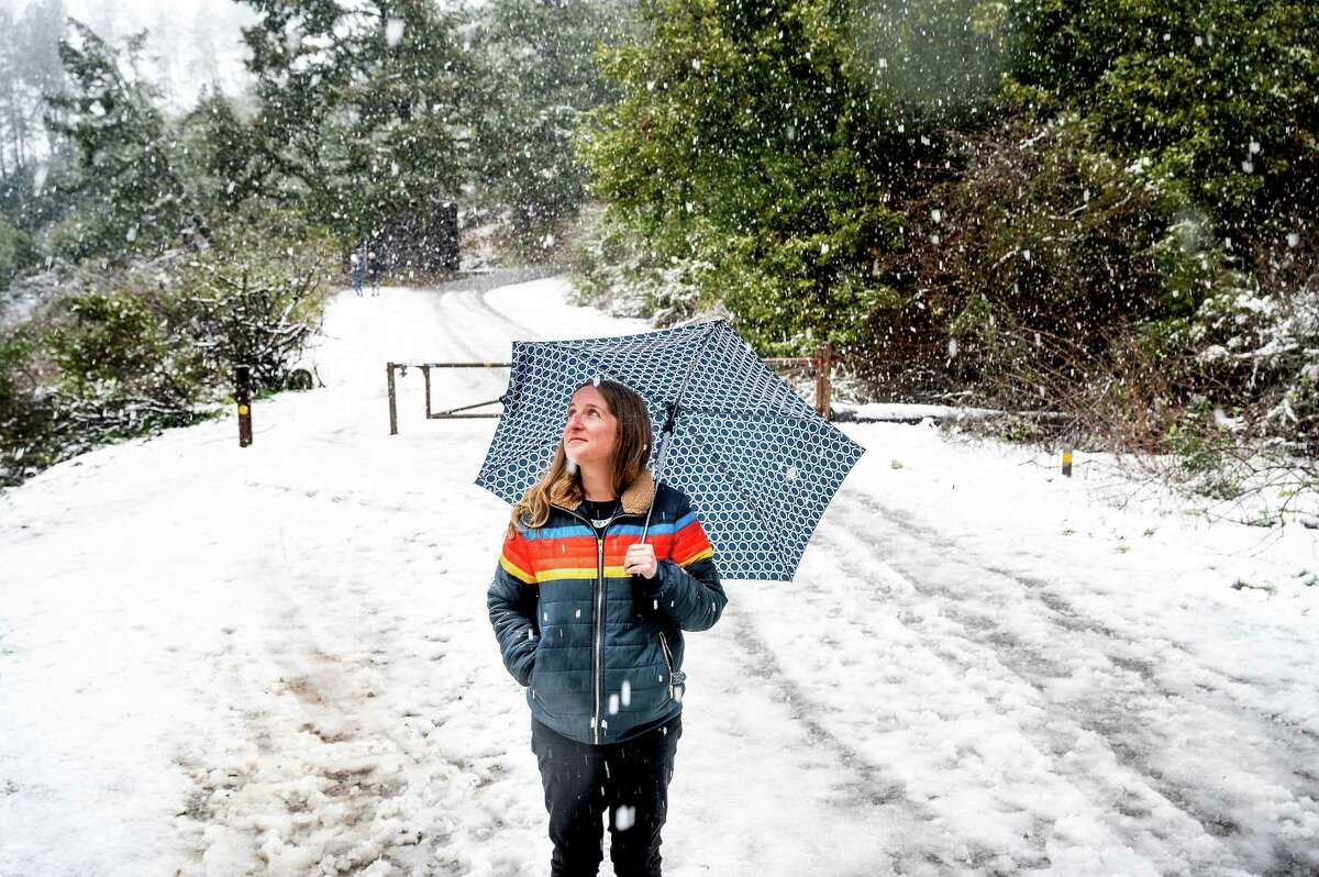 Angela Coppola watches as snow falls in Tilden Park along Grizzly Peak Blvd. on Friday, Feb. 24, 2023, in Berkeley, Calif. The Berkeley High School teacher used her lunch break to see the snow.