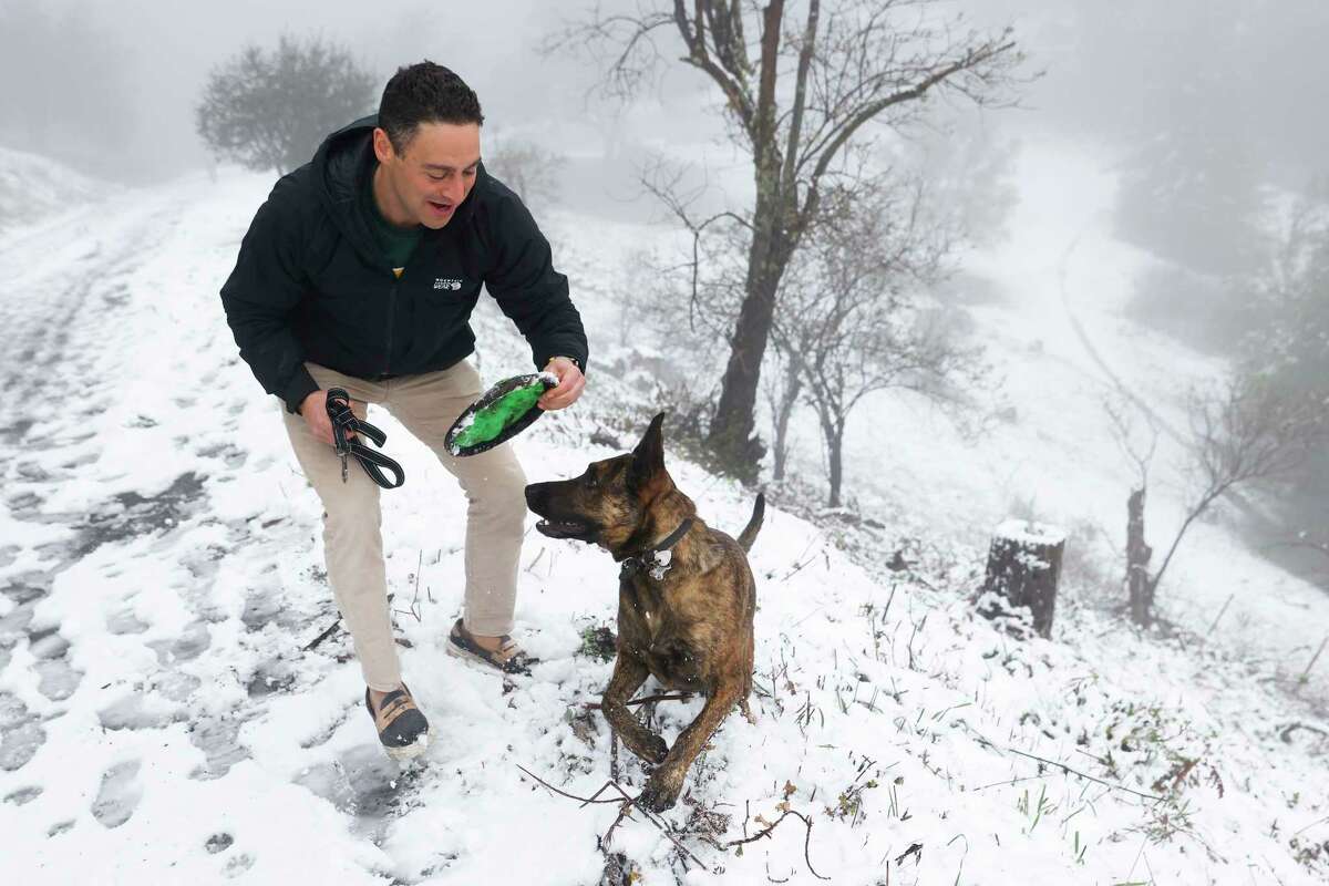Phil Narodick of Berkely plays with his dog Olive as snow blankets the ground along Scott Peak trailhead on Grizzly Peak Boulevard in Oakland, Calif. Friday, Feb. 24, 2023 after a night of heavy rains and low temperatures swept across the Bay Area.