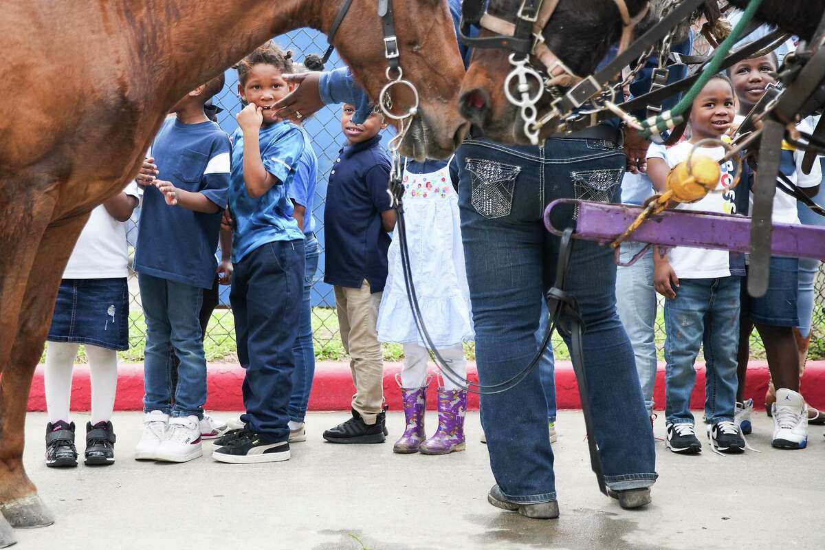 Houston rodeo trail ride Riders reach downtown Houston rodeo parade