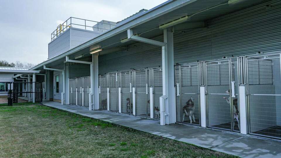 Harris County Pets Resource Center on Friday, Feb. 24, 2023 in Houston.