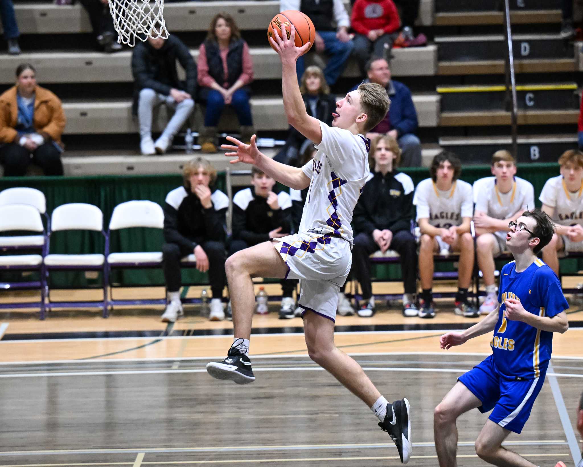 Duanesburg dominates early to advance to the Class C semifinals