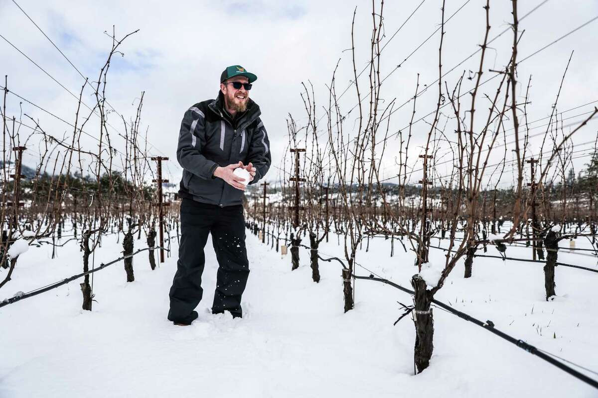 Estate director Jake Krausz makes a snowball in the snowy vineyards at Arkenstone Vineyards in Angwin, Calif., on Friday, Feb. 24, 2023.