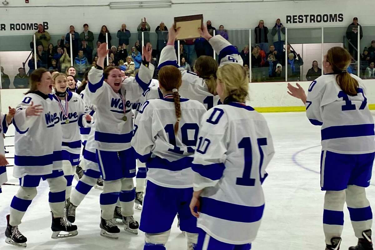 The Darien girls ice hockey team celebrates their FCIAC championship win over New Canaan at the Darien Ice House.