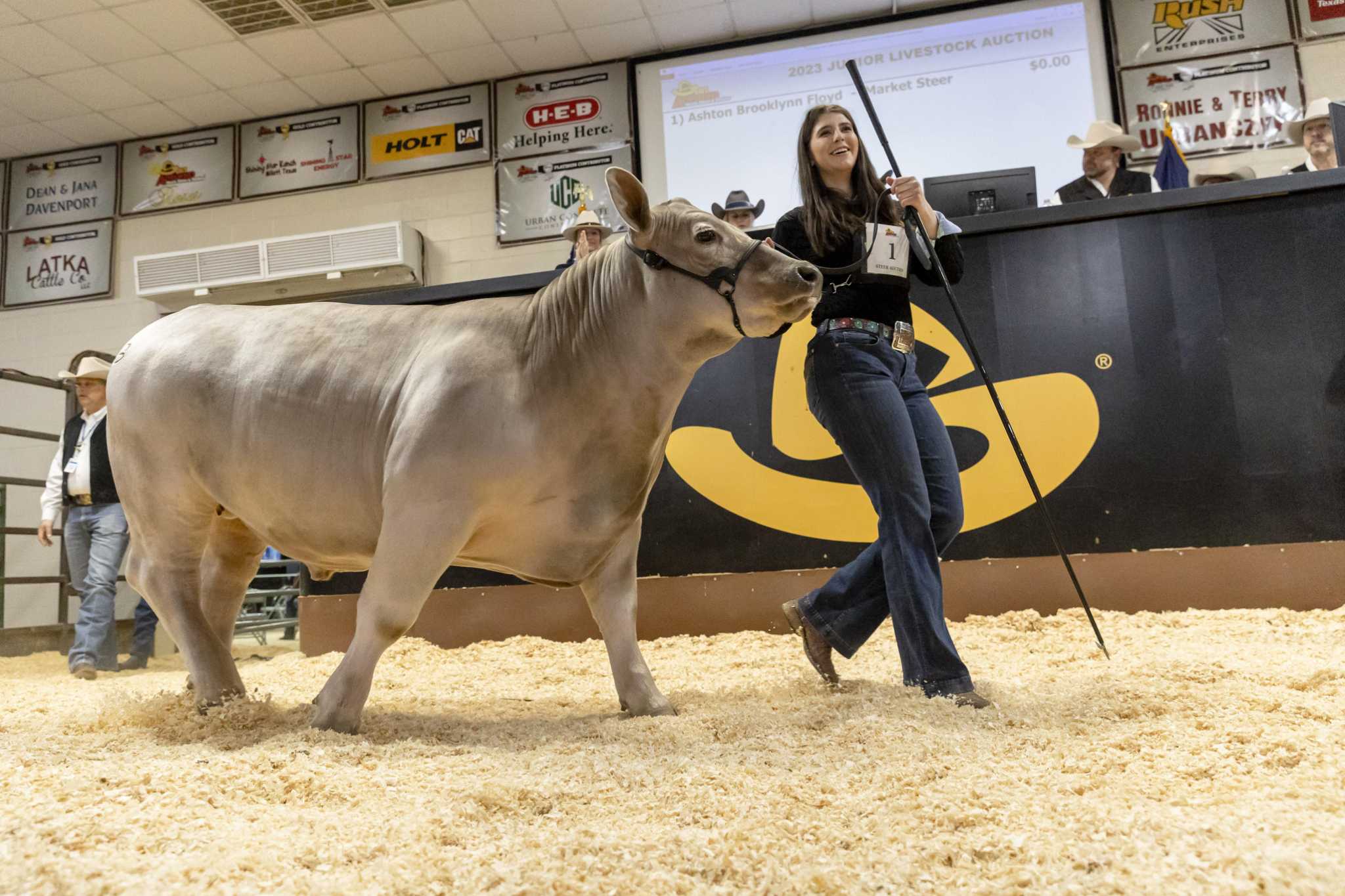S A Stock Show Rodeo Grand Champion Steer Sets Auction Record S A Stock Show Rodeo Grand Champion Steer Sets Auction Record