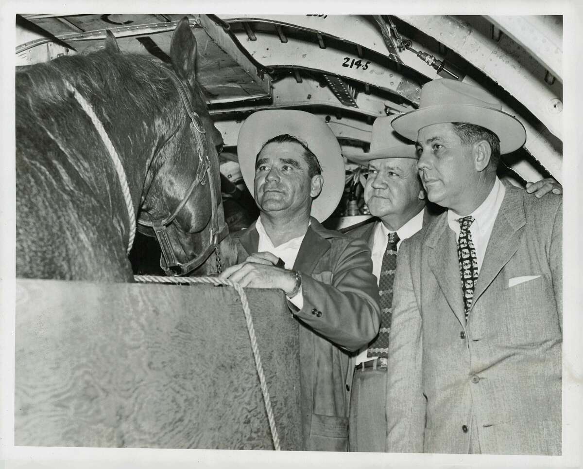 Houston Fat Stock Show director John B. Ferguson chased a world record price for his Quarter Horse stallion Go-Man-Go, which was sold to A.B. Green of Purcell, Oklahoma for $40,200 in 1956. That year, Ferguson exhibited nine horses at the Fat Stock Show.