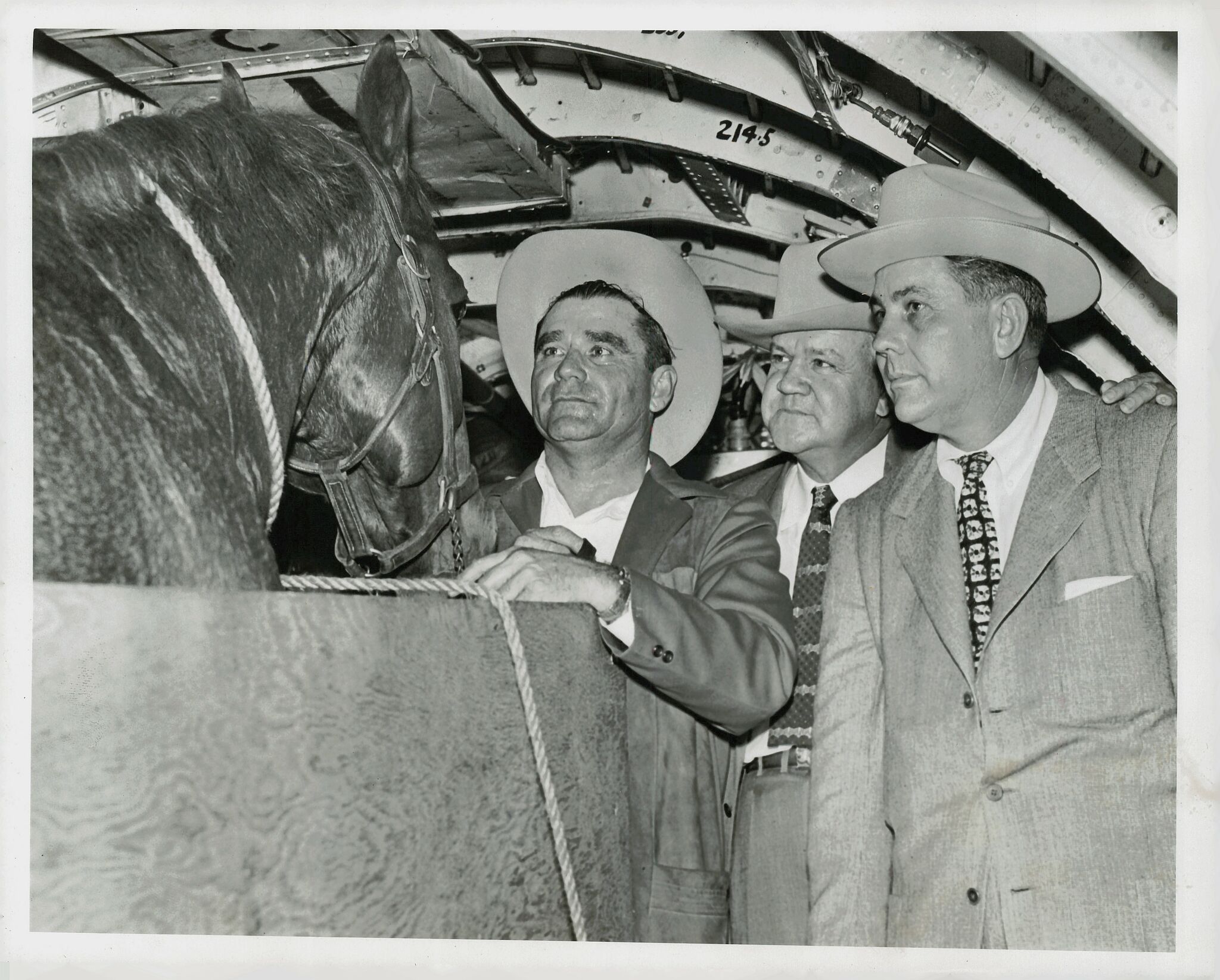 How the 'Fat Stock Show' became RodeoHouston