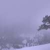 A camera at Alpine Meadows, Tahoe, shows a wintery scene on Monday morning, Feb. 27, 2023.