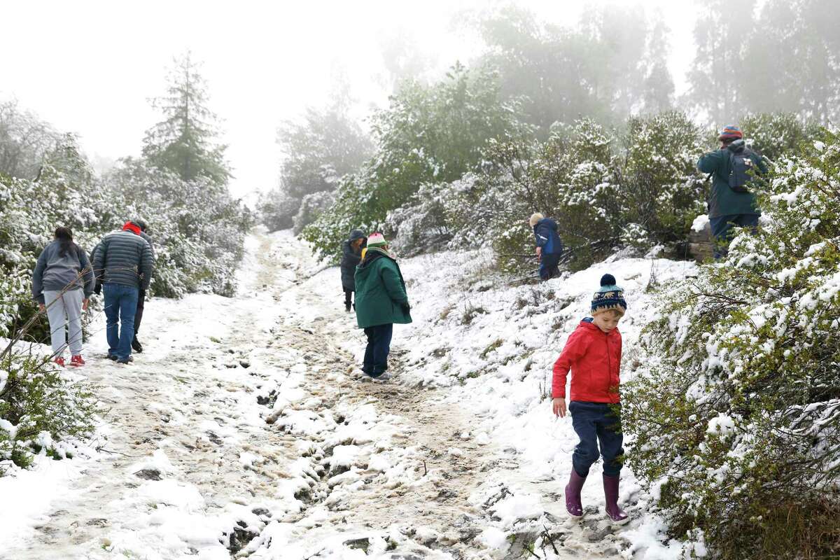 Families walk along the snowy South Gate trail at Tilden Regional Park in Berkeley after a night of heavy rains and low temperatures.