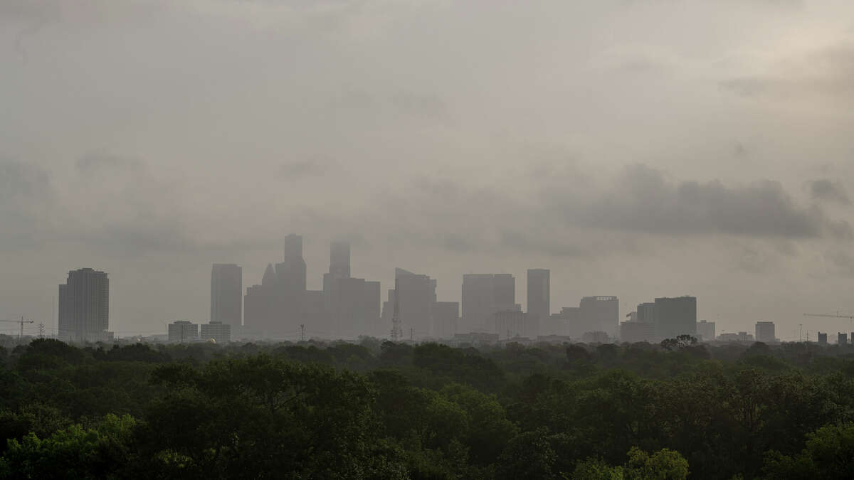 Houston residents should prepare themselves for high pollen counts for the rest of the week. 