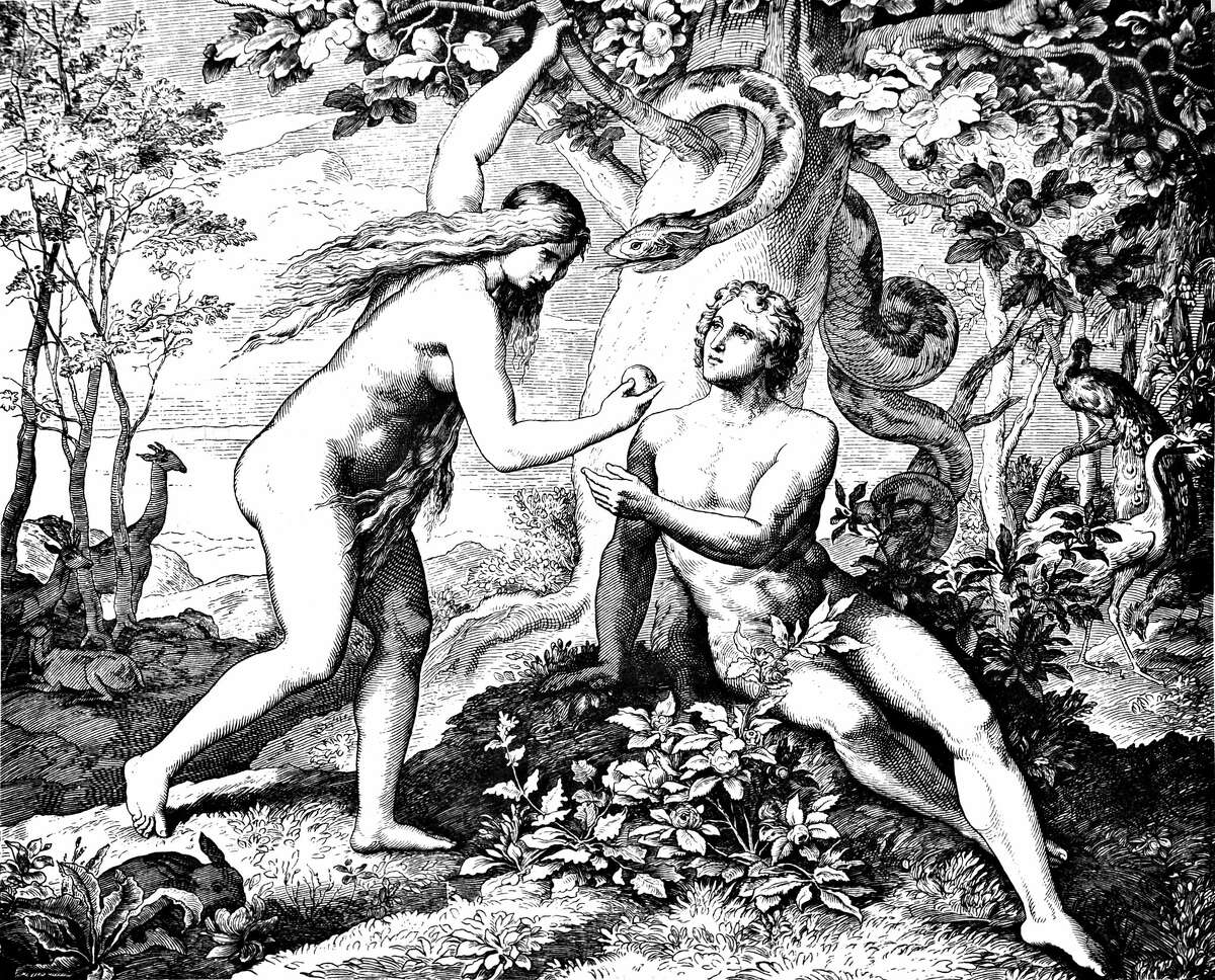 Adam & Eve Eat Forbidden Fruit.