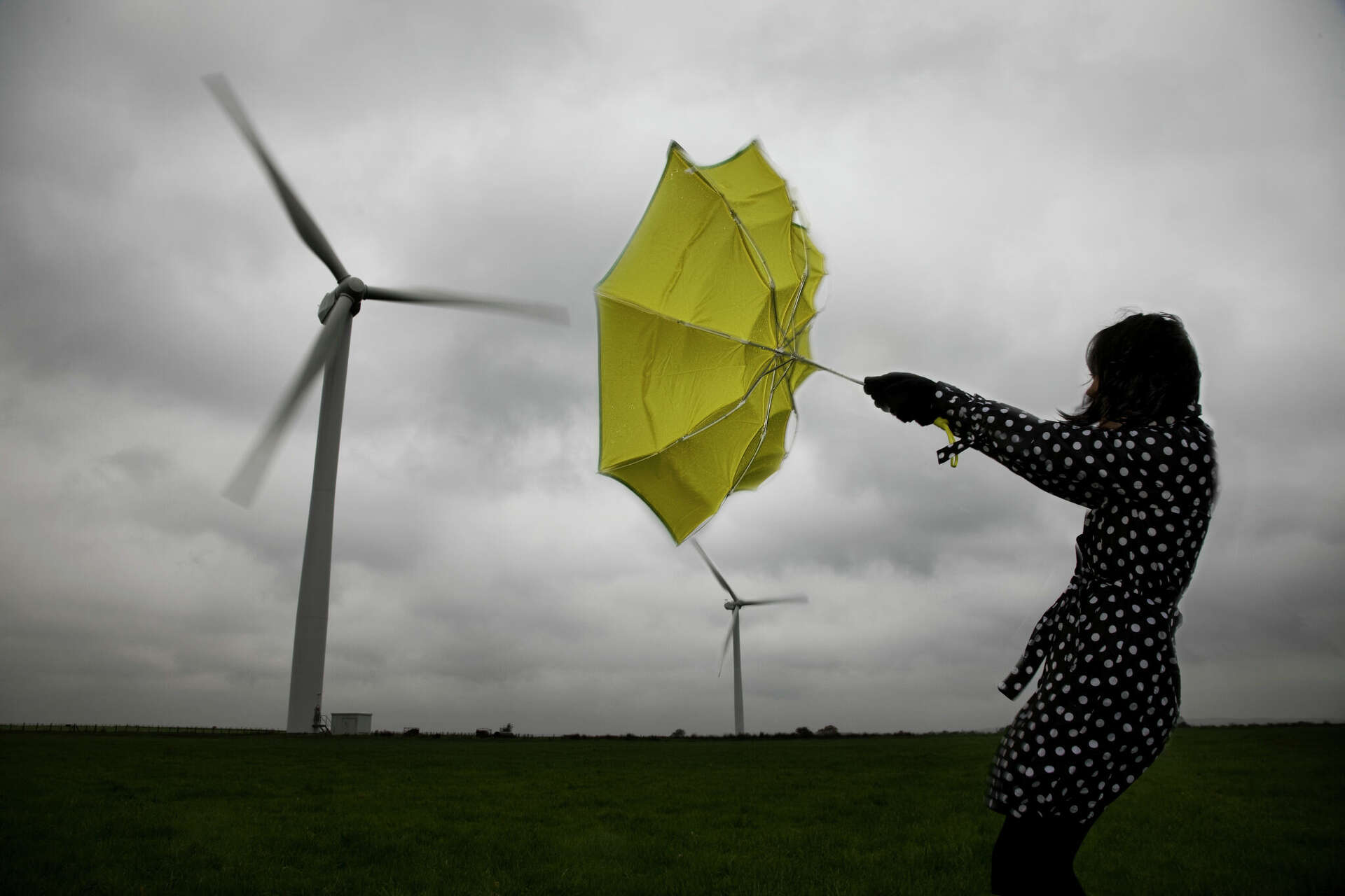 5 best umbrellas for gale force winds