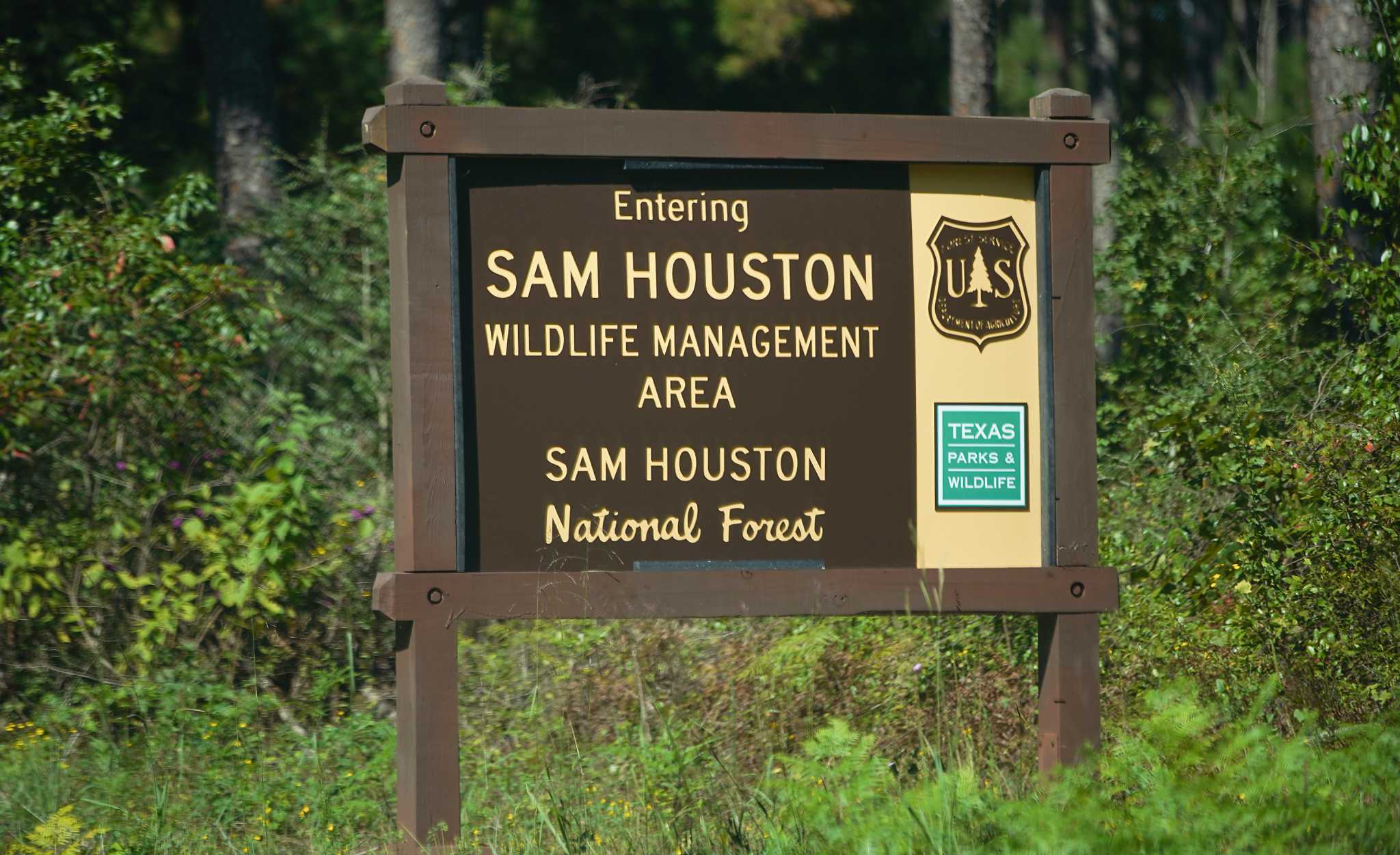 prescribed-burn-underway-in-sam-houston-national-forest