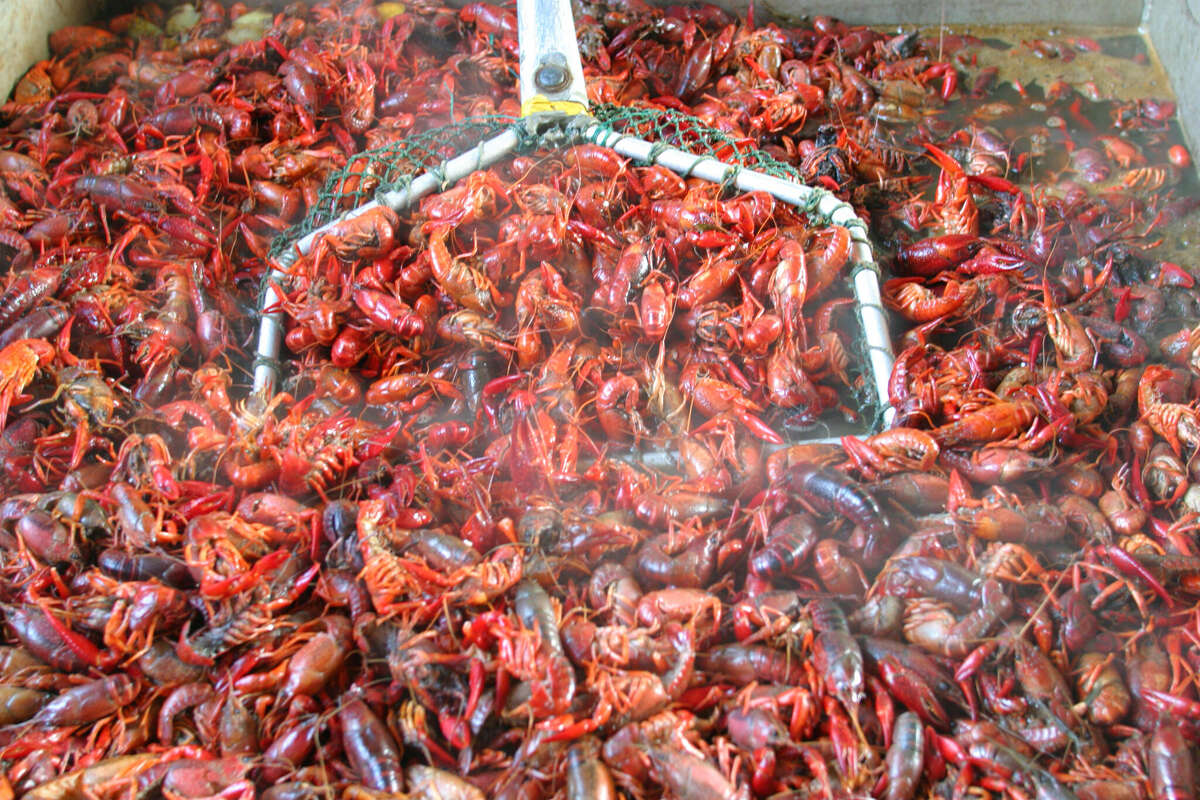 Crawfish boils are a popular spring ritual for many families along the Gulf Coast.