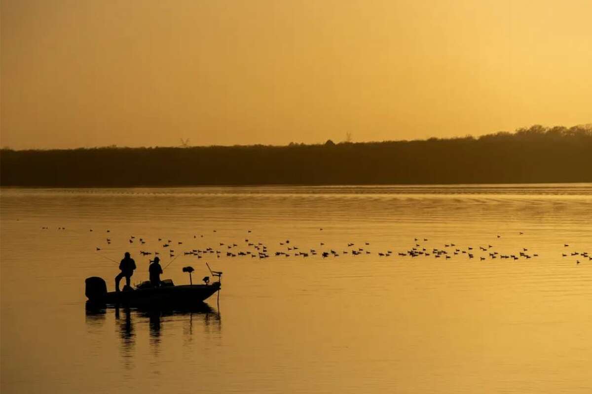 Coots dot Fairfield Lake at sunset while visitors cast their fishing lines from a boat.