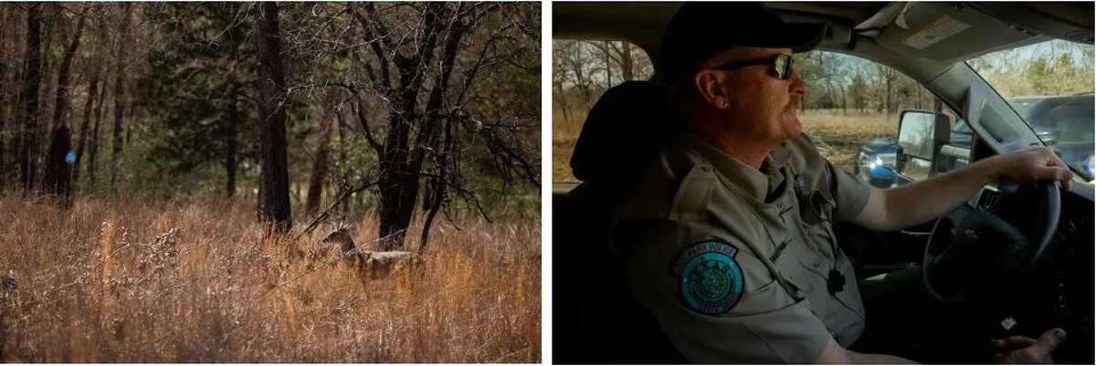 First: A buck stands in a field at Fairfield Lake State Park. Last: State Park Police Officer Kyle Ware makes his rounds on the park’s last day.