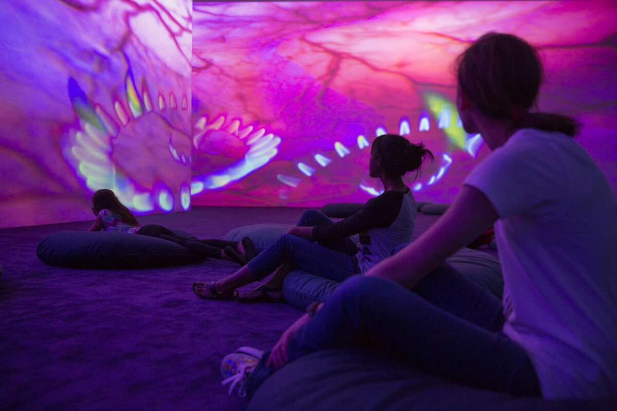 "Worry Will Vanish", a video installation at the MFAH by Pipilotti Rist