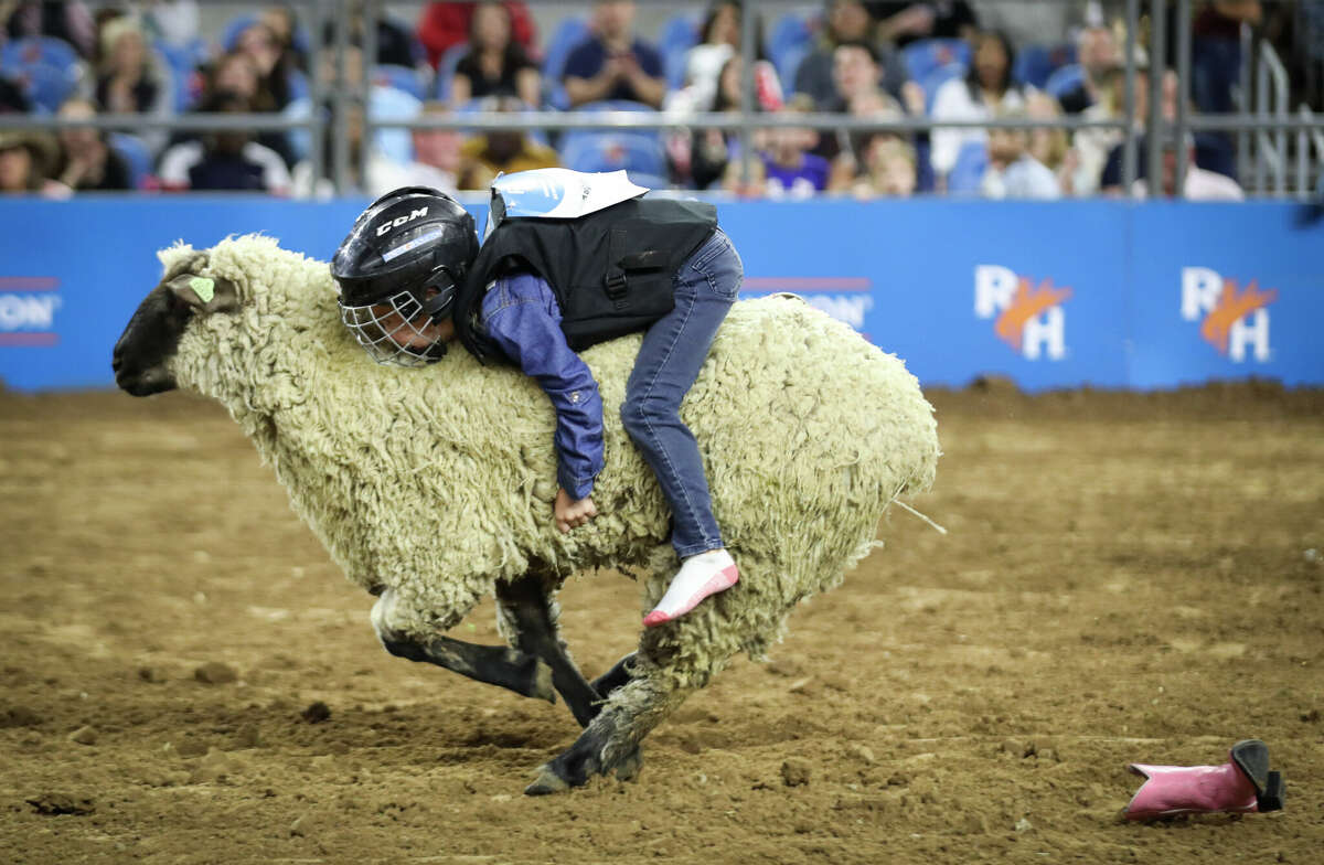 A child competes in mutton bustin' at the Houston Livestock Show and Rodeo on Thursday, March 3, 2022, at NRG Stadium in Houston.