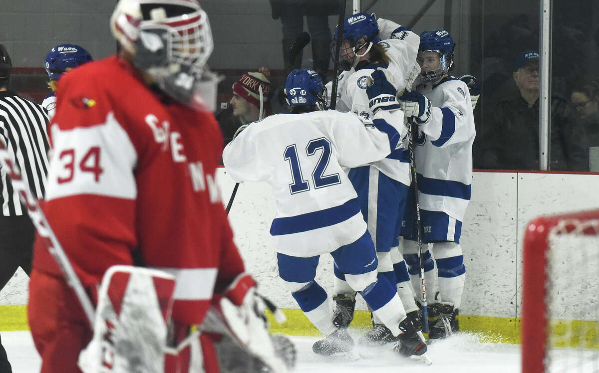 Darien celebrates a goal against Greenwich during its win in the FCIAC boys ice hockey semifinals at the Darien Ice House on Wednesday, March 1, 2023.