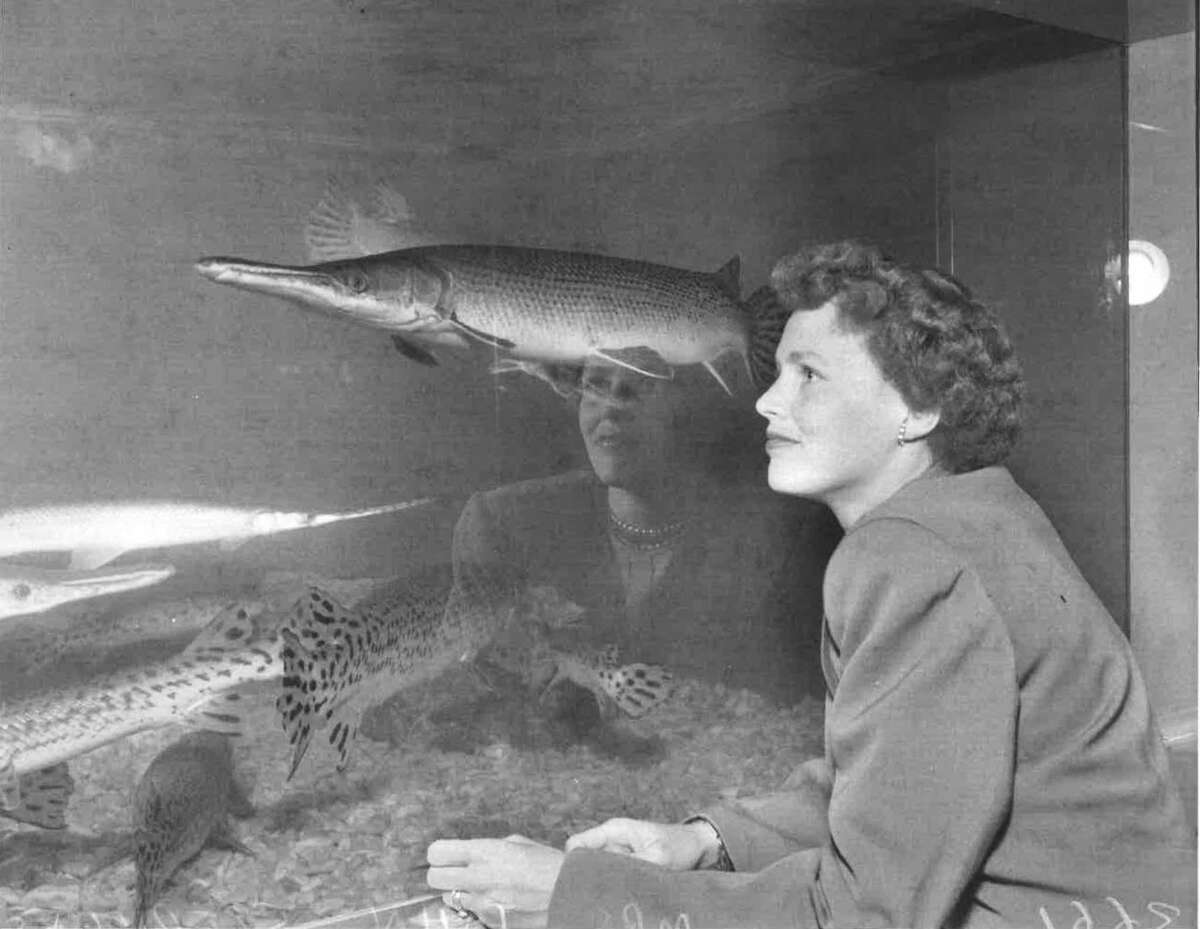 San Antonio Zoo has a long but spotty history with giraffes