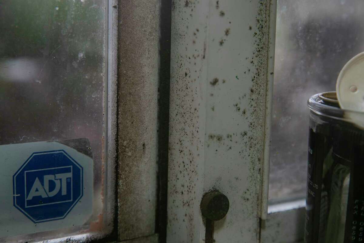 Mold grows on the windows in Linda's apartment in Oakland, Calif., on Tuesday, January 10, 2023. Linda, who has lived in an SMC unit since 2013, said her windows have had mold growing on the inside since she moved in. The mold comes back no matter how often she scrubs it away. Linda is a tenant of a property owned by an llc in Neill Sullivan’s ownership network. Linda's true name is being withheld in accordance with The Chronicle’s policy on anonymous sources, because she feared retaliation from her landlord.