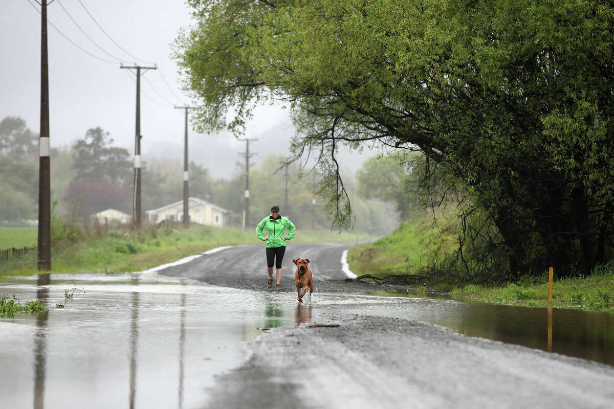 Runners, perhaps, more than anyone, know the loose (owned) and stray dogs in a neighborhood.