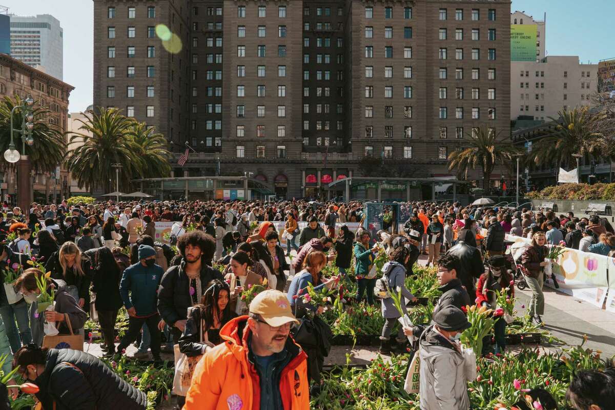 Flower Bulb Day tulip giveaway draws thousands to Union Square in S.F.