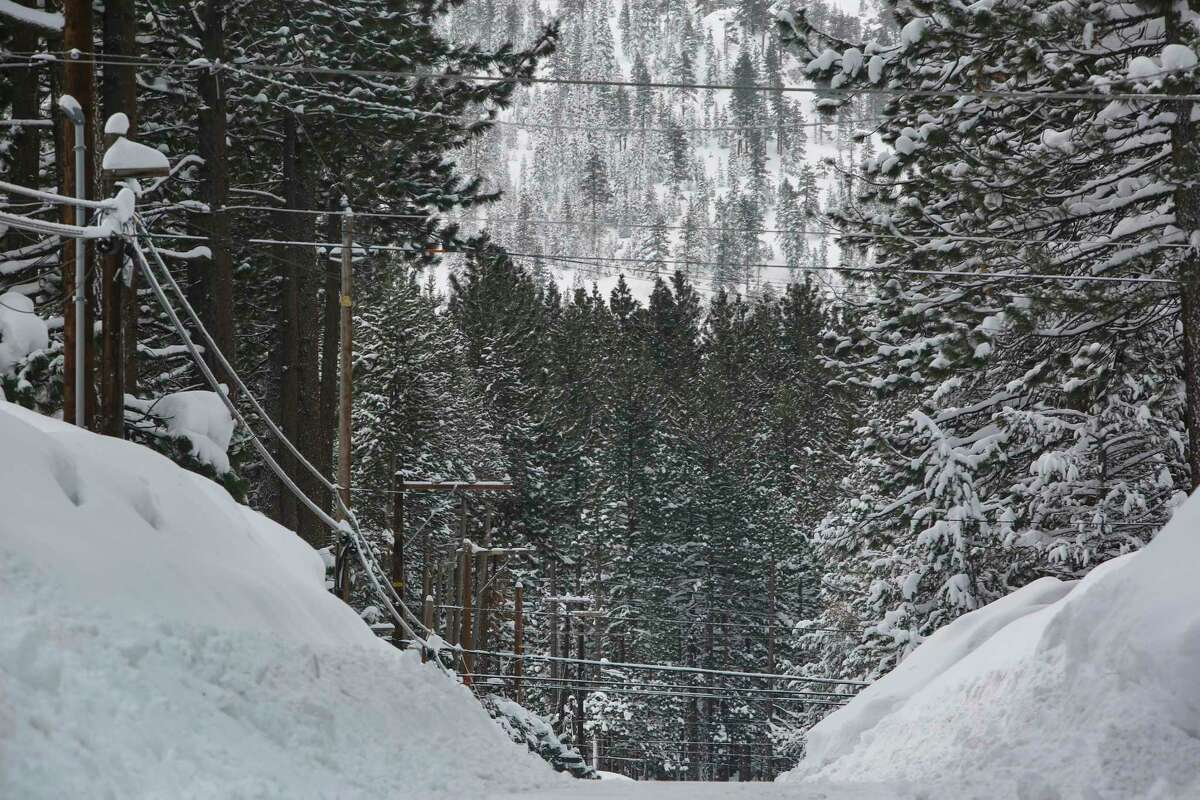Śnieg pokrywa drzewa na Sonora Avenue w South Lake Tahoe w Kalifornii, 1 marca.