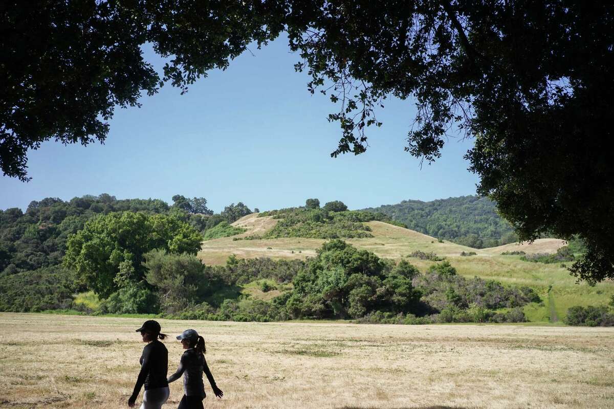  A woman died Sunday after a tree fell on her while hiking at Rancho San Antonio County Park in Cupertino.