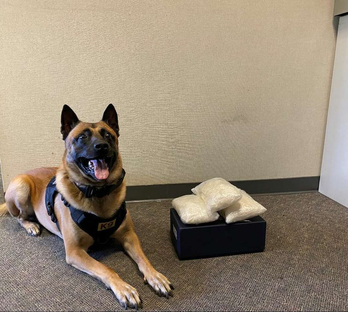 Santa Rosa police dog Enzo sniffed out a 6.6-pound cache of  methamphetamine  in the trunk of a car, resulting in two arrests.