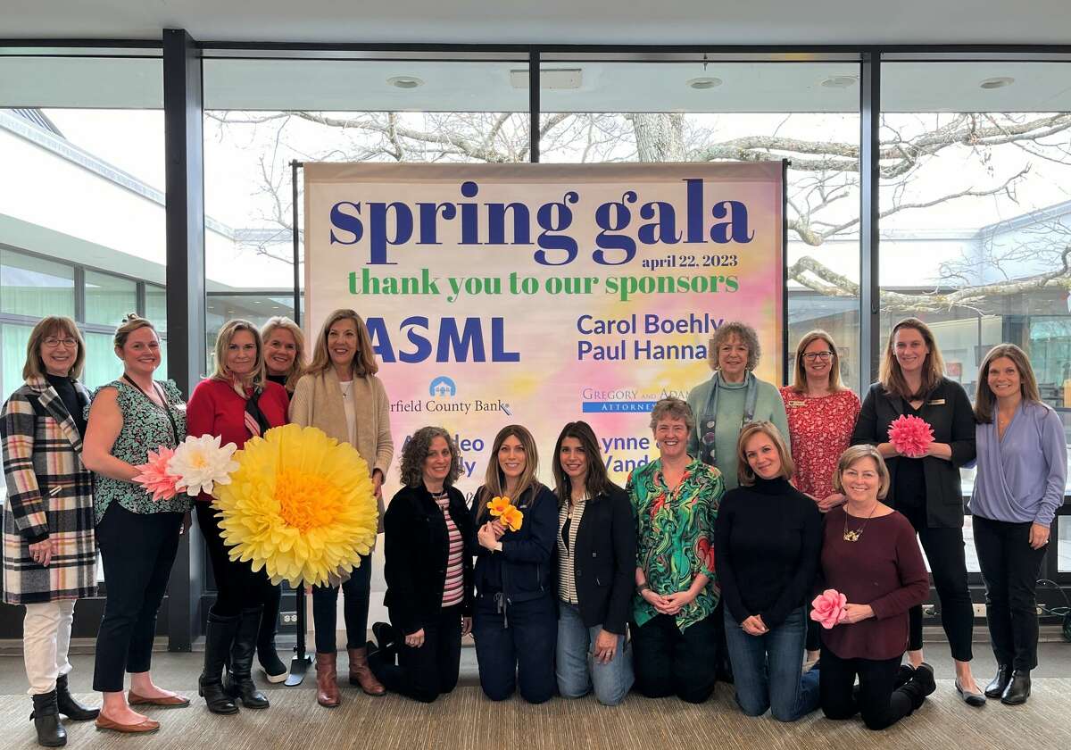 The members of the Spring Gala Committee at the Wilton Library are, back row, standing, from left, Allison Gray Sanders; Ashley Goldman, development and administrative assistant, Wilton Library Association; Donna Peterson; Lianne Acosta-Rua, WLA trustee; Mary Pytko, co-chair; Marcia Marafioti; Suzanne Verrilli, head of development, WLA; Caroline Mandler, executive director, WLA; and Sue Stengrim, development assistant, WLA. In the front row, sitting, from left, are, Patty Tomasetti; Meredith Lorig; Nalini Hage, WLA trustee; Betsy Huffman, co-chair and WLA Board of Trustees secretary; Michelle Baronowski; and Arlene Dolin.