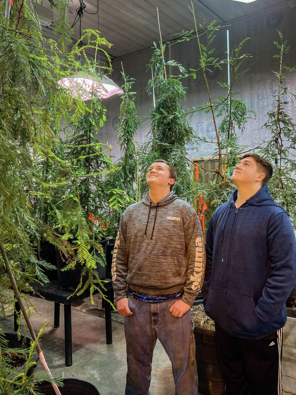 Onekama sophomores get handson with tree propagation