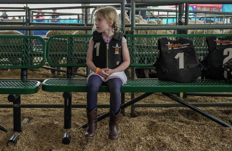 Houston Rodeo family favorites: Carnival, petting zoos, pig races