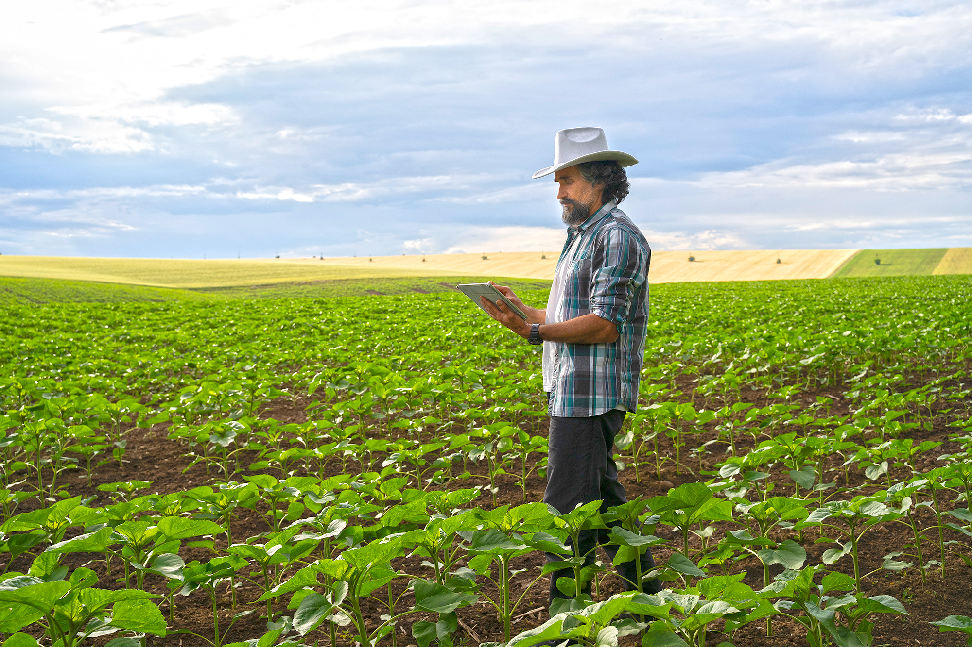Economist pushes for more free trade, not less, for farmers - Vimarsana News