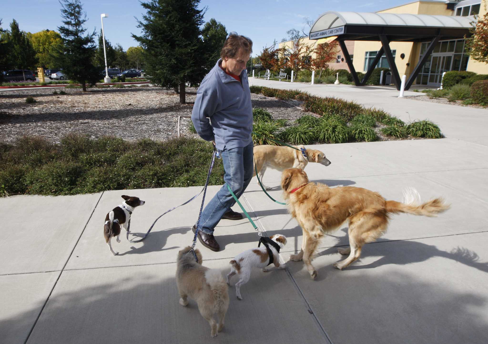 Tony La Russa severs ties with Bay Area animal rescue Tony La Russa severs ties with Bay Area animal rescue