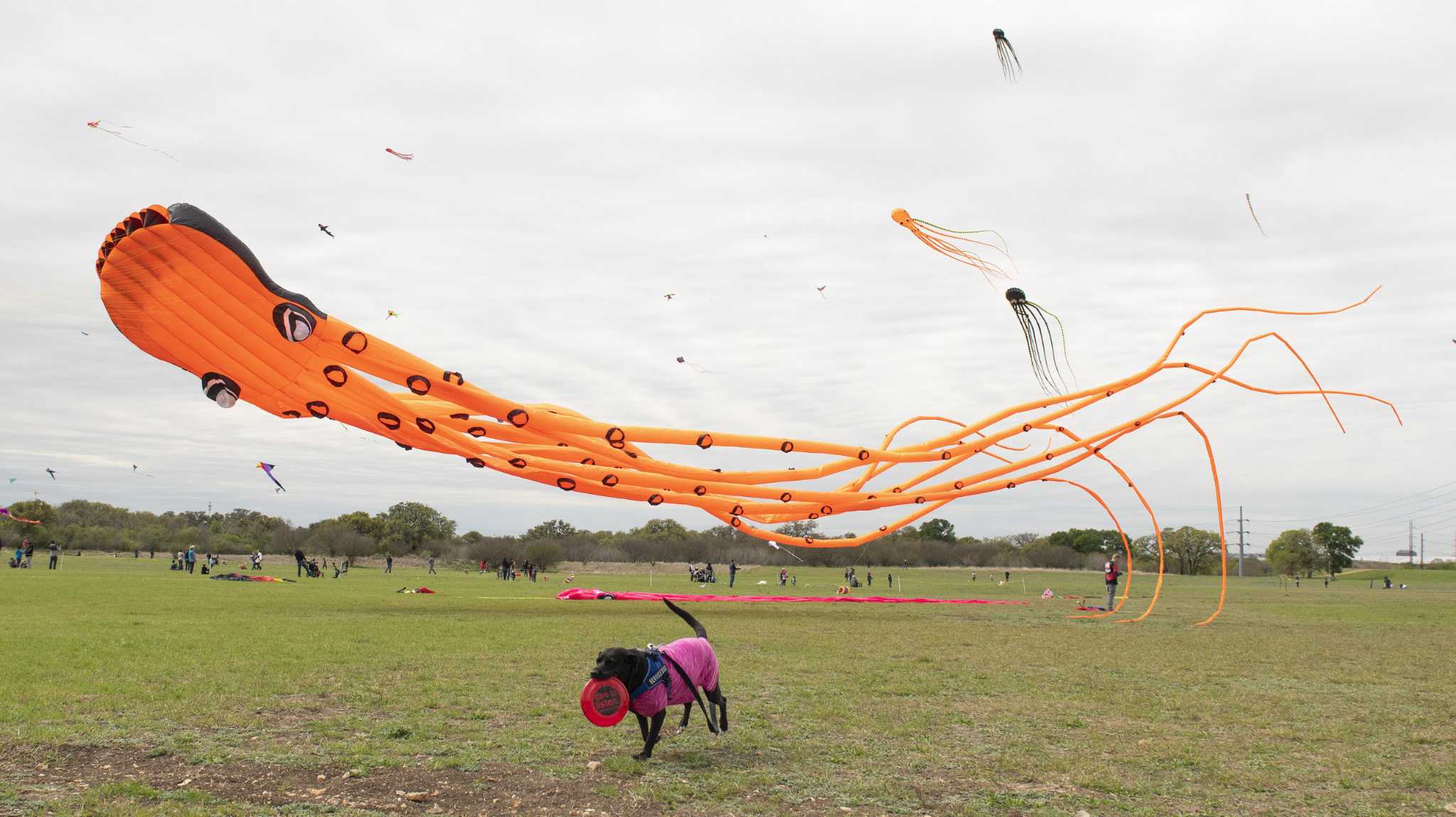 KIte festival, New Order and more things to do in San Antonio