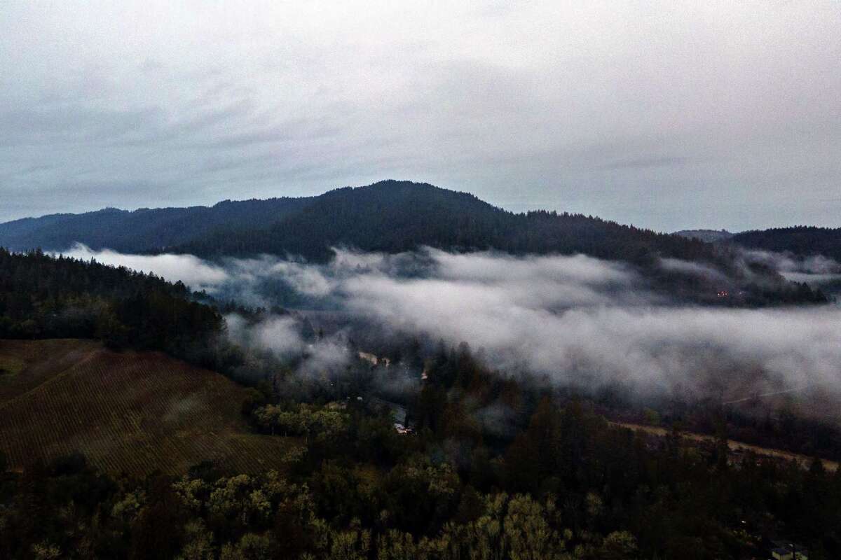 Morning fog rolls through the Russian River Valley in Forestville on Thursday. 