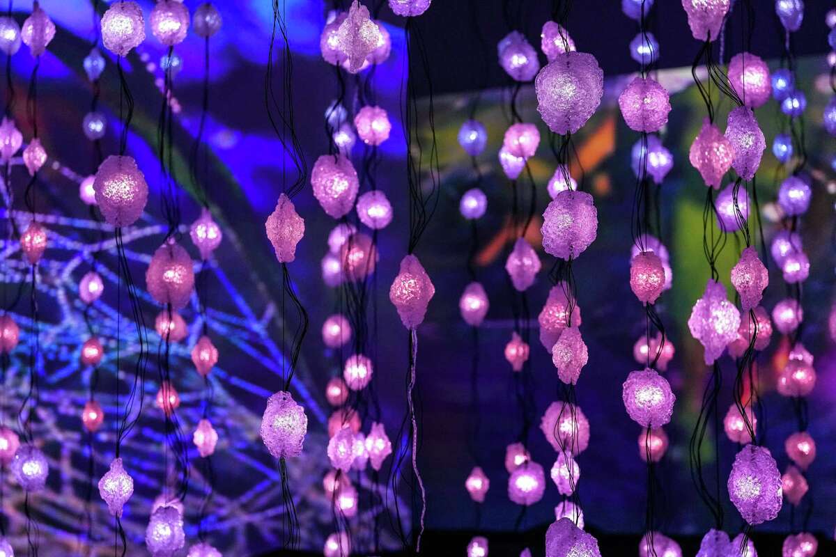 Pixel Forest and Worry Will Vanish by Swiss artist Pipilotti Rist on display at the Museum of Fine Arts, Houston on Thursday March 9, 2023 in Houston.