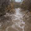 文件-卡梅尔河流严重在卡梅尔山谷最近降雨后,星期一,2023年1月9日。加州州长Gavin Newsom要求水监管机构改变规则,让政府官员储存更多的水从近几周的大雨。环保团体反对改变,说更少的水的河流会杀死濒危物种的鱼。(美联社照片/ Nic Coury,文件)