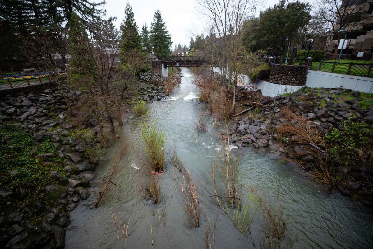 Water flows down storm-swelled Santa Rosa Creek in Santa Rosa on Thursday.