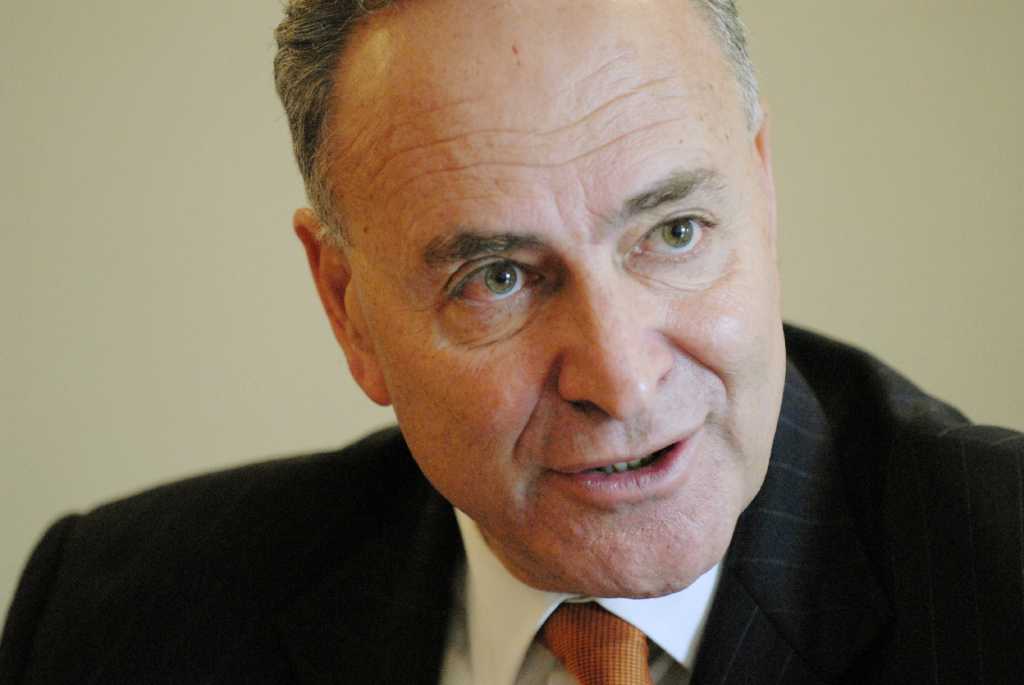 Schumer: Democrats Will Hold Senate